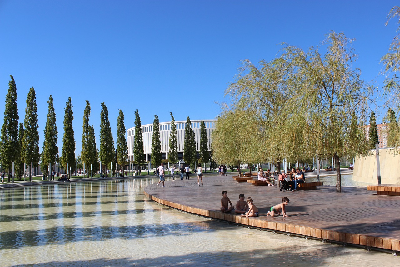 裁判判罚的 裁判判罚的