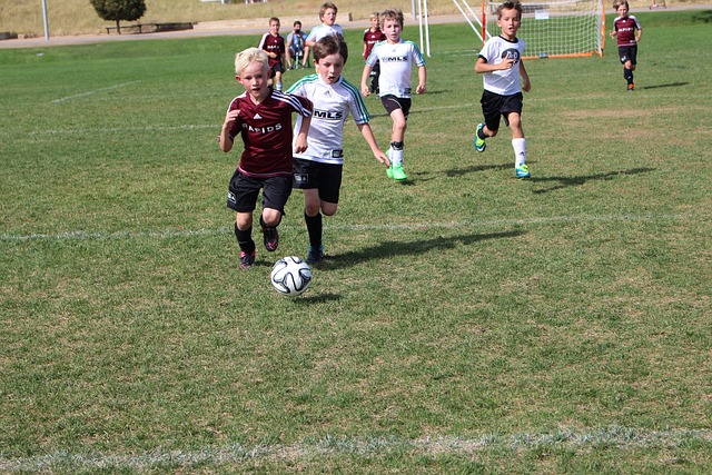 无论是在体 无论是在体