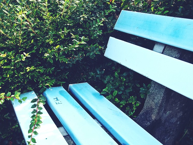 斯坦尼斯奇 斯坦尼斯奇