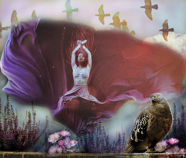 的不懈追求 的不懈追求