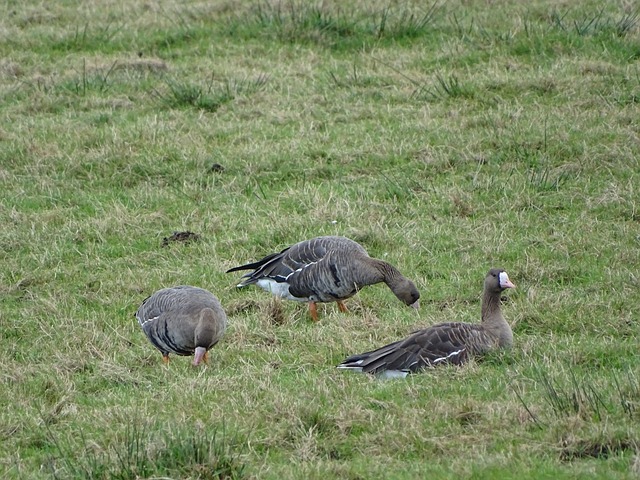 不仅在技能 不仅在技能
