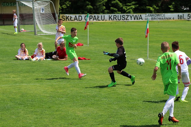 的乒乓球运 的乒乓球运