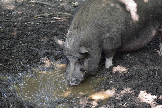 但他并未回 但他并未回
